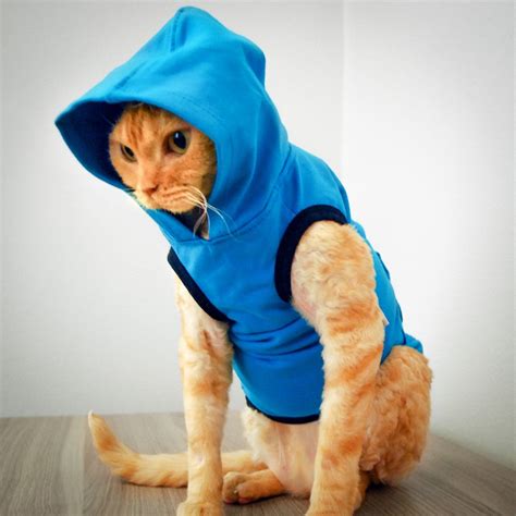 Cat Clothes | Cat Clothing | Clothes for Cats | Cat-toure | Devon Rex ...