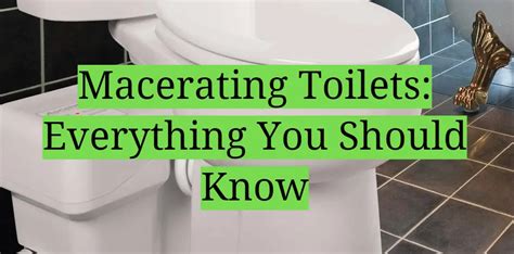 Macerating Toilets: Everything You Should Know - HomeProfy