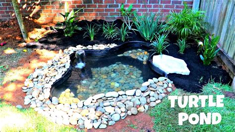 How To Make A Turtle Pond In Your Backyard