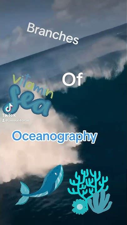 Oceanography branches #marinebiology #youtubeshorts #whales # ...