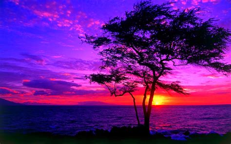 Beautiful Sunset Wallpapers ·① WallpaperTag