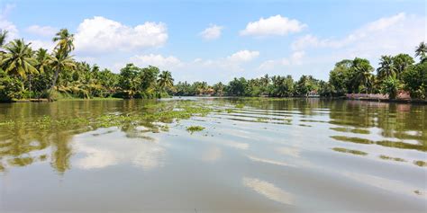 Unterwegs mit dem Boot in den Kochi Backwaters - BLUESPACES PHOTOGRAPHY