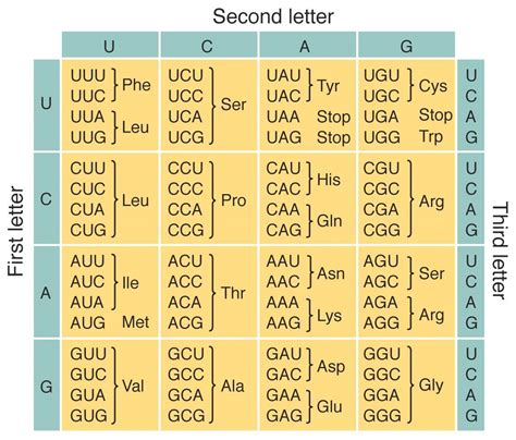 Universal Genetic Code