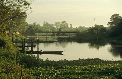 Majuli Island in Assam: Essential Travel Guide