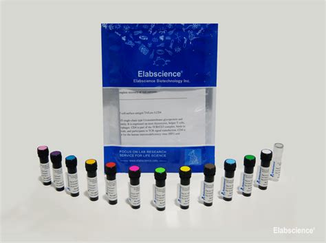 Flow cytometry antibodies