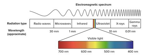 Wavelength Of Light Photosynthesis