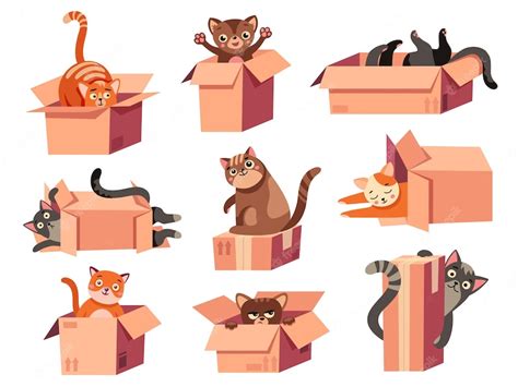 Premium Vector | Cat hiding in box cartoon cute domestic animal hides ...