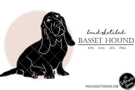 Basset Hound Sketch (2511737)