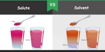 Difference between Solute and Solvent – Bio Differences