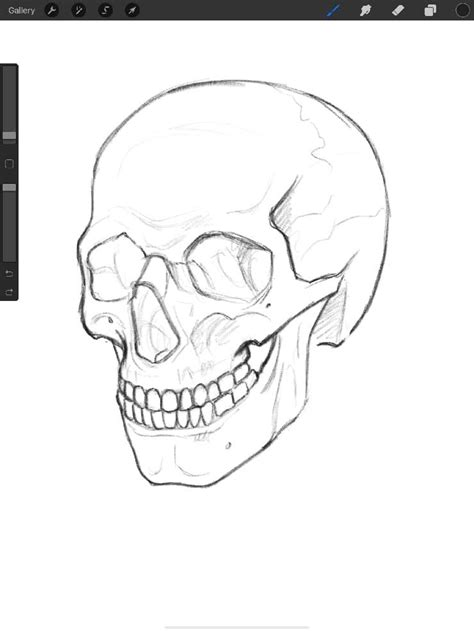 Human Skull Drawing, Skull Drawing Sketches, Easy Skull Drawings, Skull ...