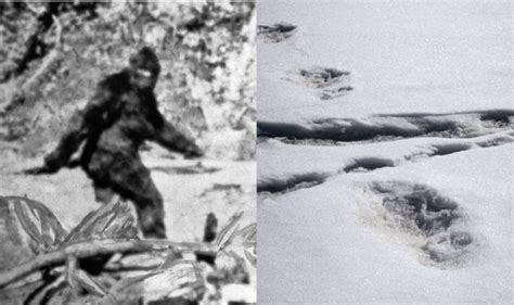 Yeti footprints: Indian army tweets bizarre 'elusive snowman' discovery ...