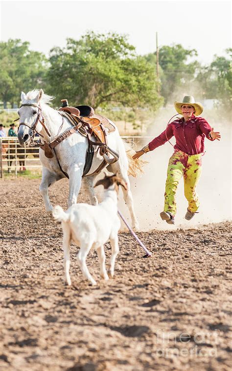 Shawnee Sagers Goat Roping Competition Photograph by Jim DeLillo - Pixels