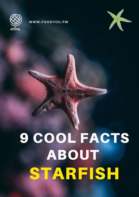 9 Cool Facts About Starfish | Starfish facts, Starfish facts for kids ...