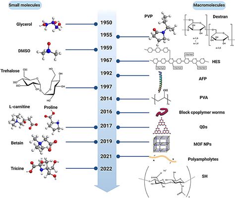 Cryoprotectants for red blood cells: Evaluating safety and ...