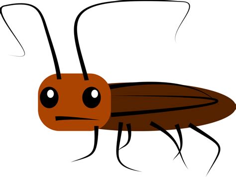 Collection of Cockroach clipart | Free download best Cockroach clipart ...