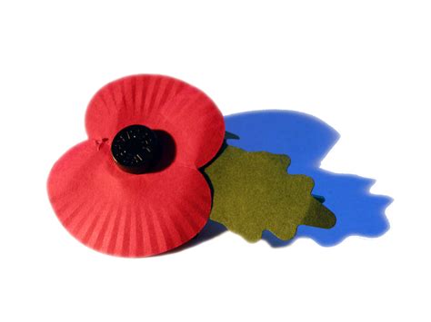 Royal British Legion’s Poppy Appeal sees online giving boost amid Covid ...