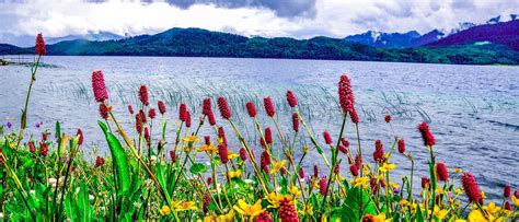 NEPAL,S RARA LAKE ,THE “ QUEEN Of LAKES”