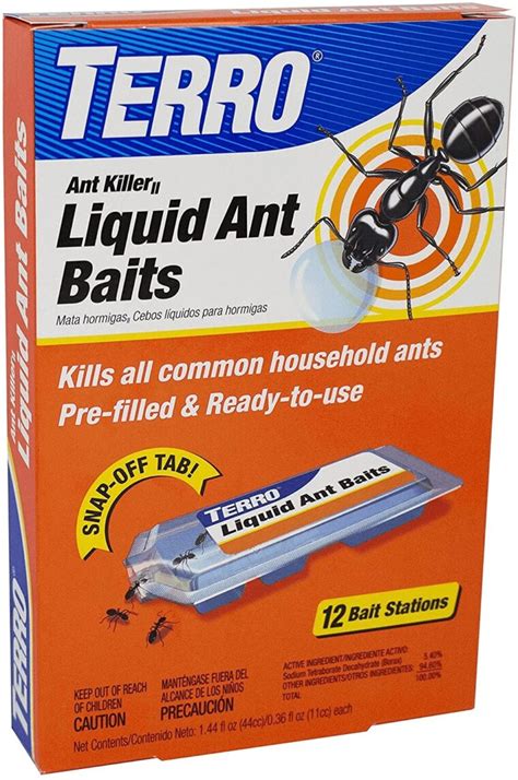 What Are The Best Ant Traps For The Kitchen? - Twin Stripe