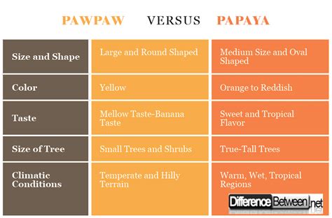 Difference Between Pawpaw and Papaya | Difference Between