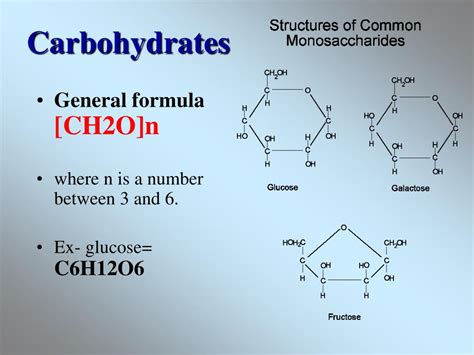 PPT - Organic Molecules - The Building Blocks of Life PowerPoint ...