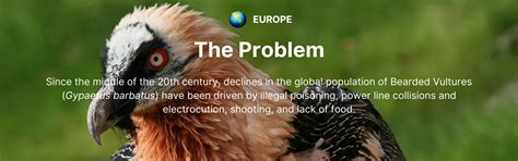 Reintroduction of Bearded Vultures in Europe — Reverse the Red