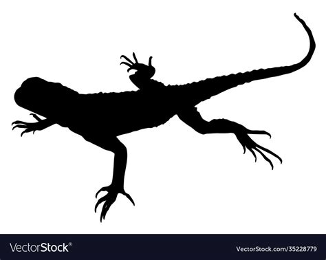 Lizard silhouette Royalty Free Vector Image - VectorStock