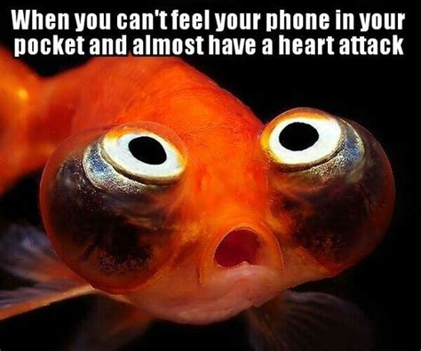 Funny fish – Artofit