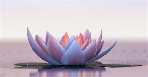 What Is the Meaning of a Lotus Flower in Christianity?