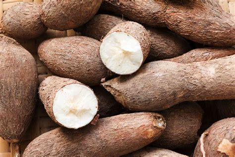 What Is Cassava? | Allrecipes