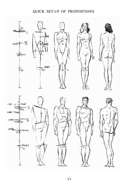 Approaching Anatomy: Loomis | Sessions College