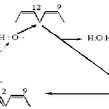 Sites of superoxide radical formation in mitochondrial electron ...