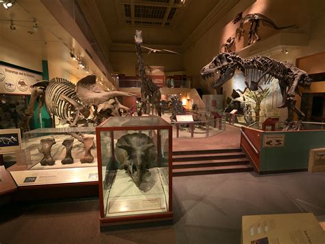 National Museum of Natural History’s Dinosaur and Fossil Hall Closure ...