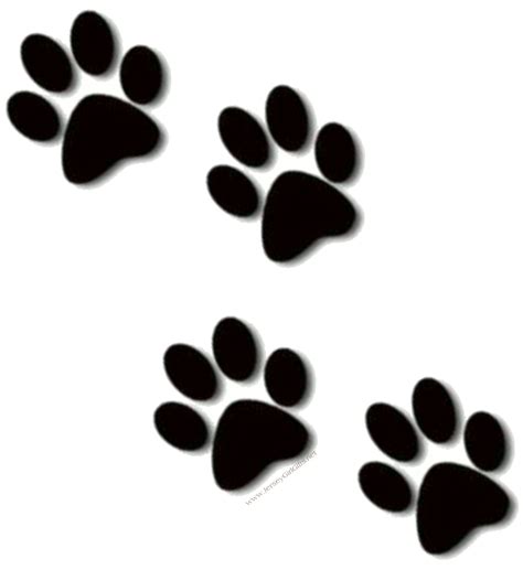 Bobcat Paw Print - Cliparts.co