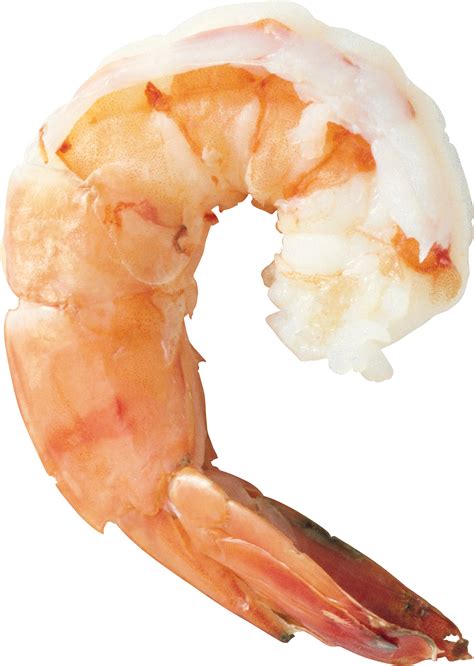 Shrimps PNG