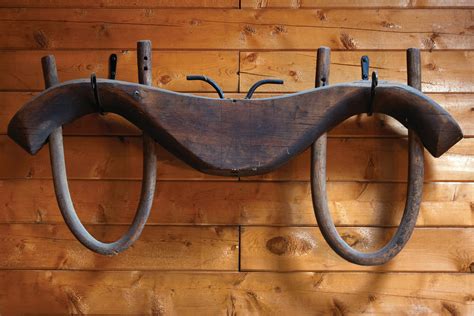 DIY Oxen Yoke - Grit