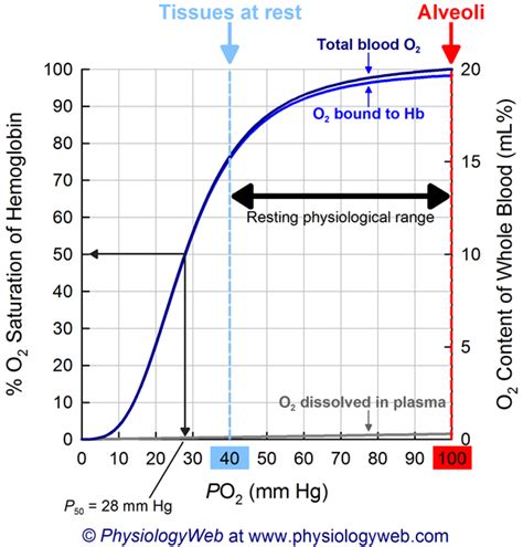 Physiology Graph: Oxyhemoglobin dissociation curve. - PhysiologyWeb