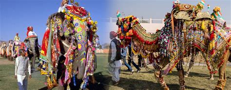 Rajasthan Fairs & Festivals Tour,Rajasthan Package Tours Fair Festival ...