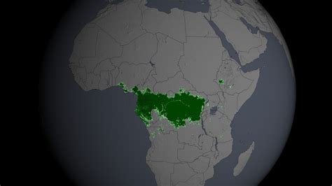 Congo Jungle Map