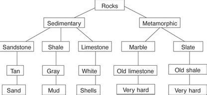 Semantic maps - Teaching Reading Comprehension Strategies