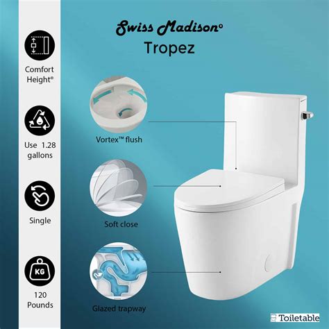 The 8 Best Single Flush Toilets Review (Ranked & Rated)