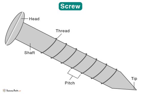 Screw: Definition and Examples