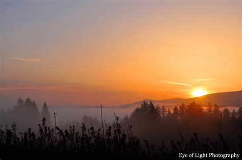 Eye of Light Photography: foggy sunrise