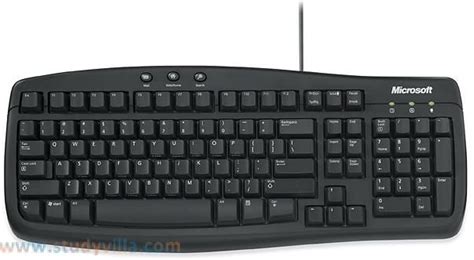 Keyboards are output devices that allow you to type. | Output device ...