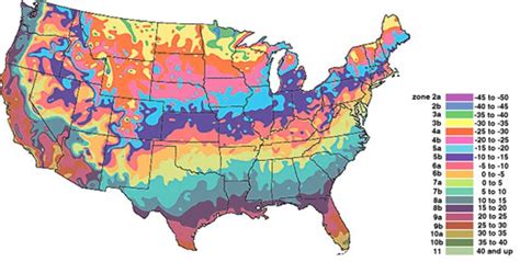 Map Of Planting Zones In United States - Printable Map