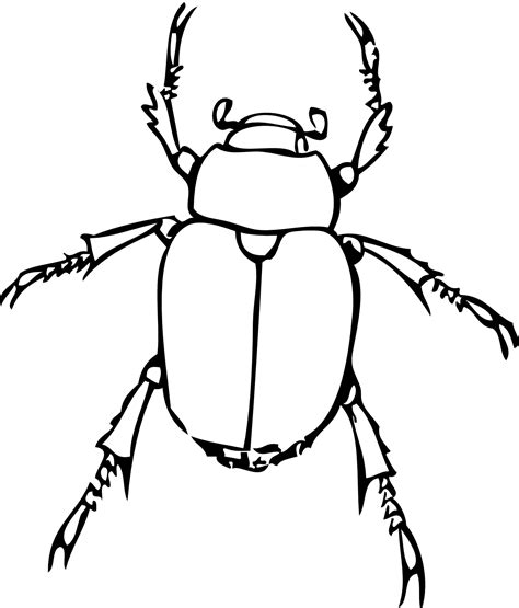 bug line drawing | Line Drawings & Printables | Pinterest | Printmaking ...