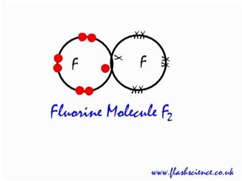 Covalent bonding in a fluorine molecule (F2). - YouTube