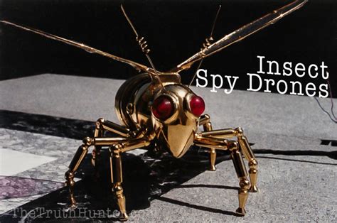 Is This a Top Secret NSA Insect Spy Drone?