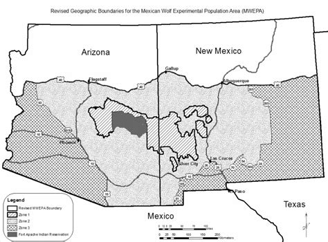 Cochise spending thousands to keep endangered wolf out of region ...