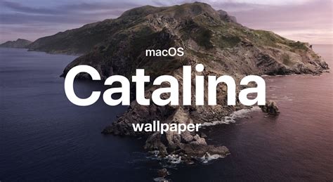 Download macOS Catalina Stock Wallpaper (Dark & Light) for Any Device