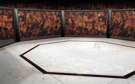 Here's Why The UFC Cage Is An Octagon